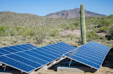 Solar Panels Arizona Sonoran Desert