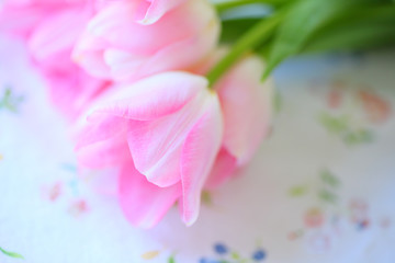 Pale pink tulips on a floral fabric print