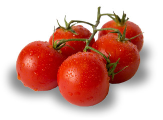 fresh tomatoes isolated on white background with shadow