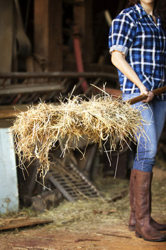 Woman working in stable