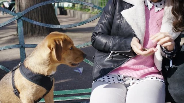 4K Young female feeding her dog a treat in a park