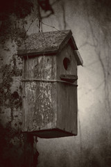 Old wooden birdhouse on the birch tree. Vintage toned photo.