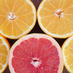 Abstract background with citrus-fruit slices. Studio photography.