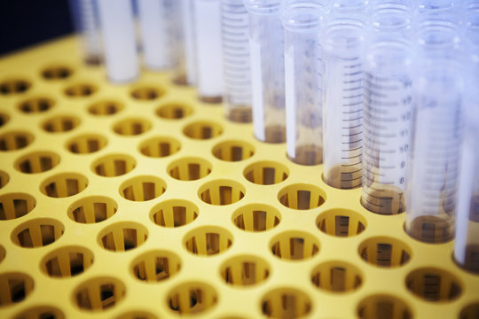 Empty test tubes