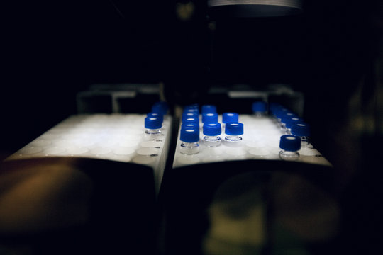 Test tube rack