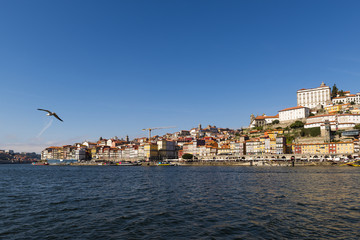 Fototapeta premium View of the Ribeira neighborhood and the Douro River in the city of Porto, Portugal