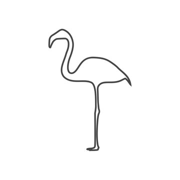 Flamingo line Icon - Illustration