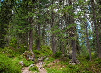 Adolf Munkel trail - famous tourist route in Dolomite Alps, Italy