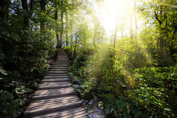 Obraz premium Wooden Walkway in Plitvice Lake National Park, Croatia
