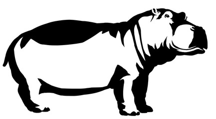 black and white linear paint draw Hippo illustration