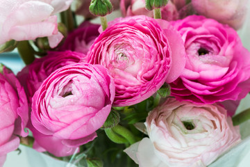 Bouquet of Pink Ranunculus, Buttercup Flowers