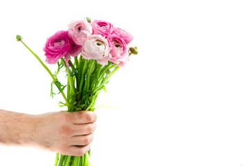 Bouquet of Pink Ranunculus, Buttercup Flowers