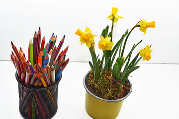 Colored pencils on table.