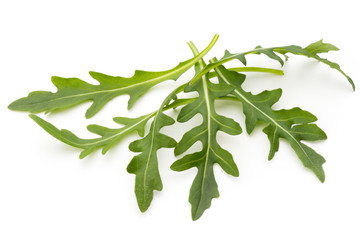 Close up studio shot of green fresh rucola isolated on white background.