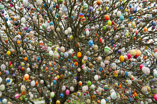 Der Osterbaum von Volker Kraft in Saalfeld
