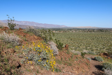 Fototapeta na wymiar View of Borrego Valley, Anza-Borrego Desert State Park, California