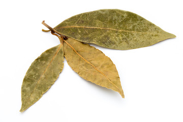 Aromatic bay leaves on white background.