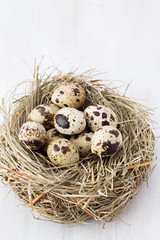 Quail eggs of birds nest. Easter composition.