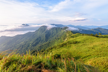 Fototapeta na wymiar Beautiful landscape nature in morning on peak mountain with sunlight cloud fog and bright blue sky in winter at Phu Chi Fa Forest Park is a famous tourist attraction of Chiang Rai Province, Thailand