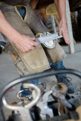 making a horse hoof