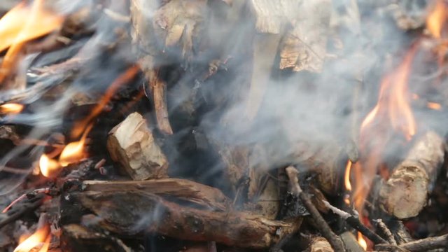 Bonfire in the forest. Firewood are burning in a campfire with flames in the forest.