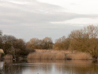 Wivenhoe Lake