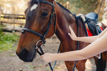girl is holding the horse by hand. Summer.