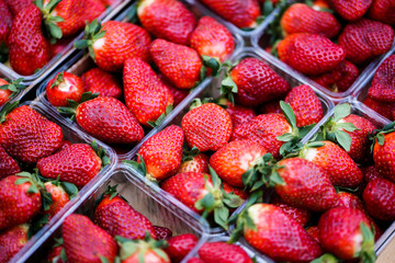 big fresh strawberries in plastic container. closeup