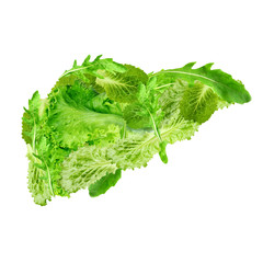 Health care concept. Liver made of organic food on white background