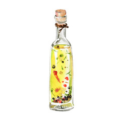 Hand drawn olive oil with seasoning. Watercolor vintage glass bottle on white background. Isolated painting illustration