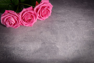 Pink roses. Romantic background. Mother's, Valentines, Women's, Wedding Day. Top view with copy space.  Place for text