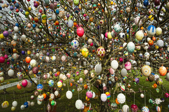 Der Osterbaum von Volker Kraft in Saalfeld