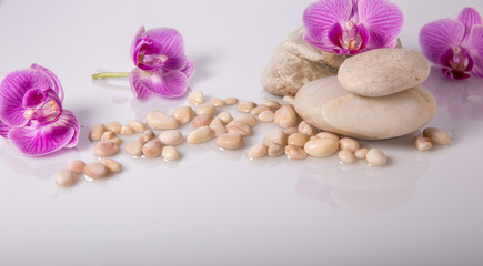 Obraz na płótnie Canvas Spa background with stones and purple orchid