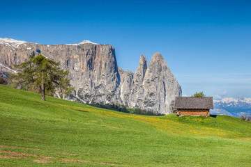 Die Seiser Alm mit Blick auf den Schlern