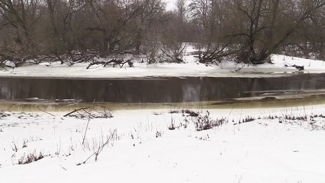 The river flows, snow-covered shore, shrubs, winter