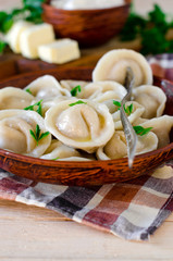 Homemade dumplings with meat