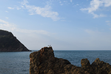 Basque coast