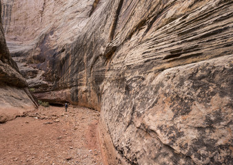 Capital Reef Grand Wash 3