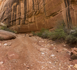 Capital Reef Grand Wash wall