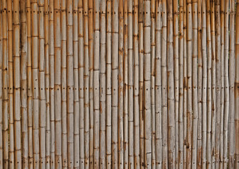 Bamboo fence background.