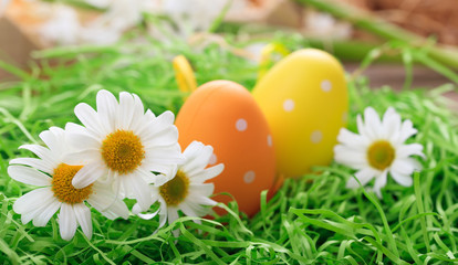 Obraz na płótnie Canvas Easter eggs on grass
