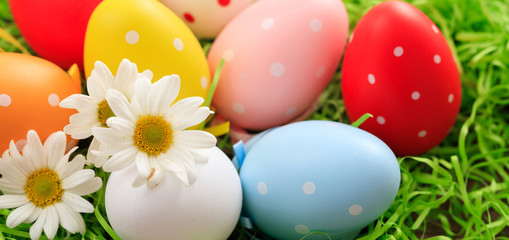 Easter eggs on grass