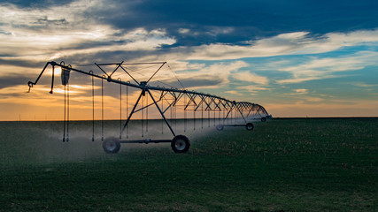 Spring Irrigation