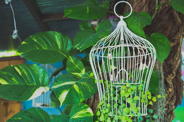 White steel birdcage natural background,For the coffee shop decoration.