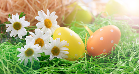 Obraz na płótnie Canvas Easter eggs on grass