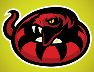 Snake ready to attack