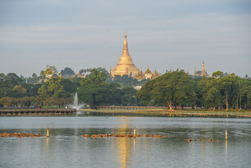 Shwedagon pagoda from kandawgyi lake, Yangon, Myanmar