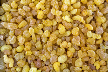 Aromatic yellow resin gum from Sudanese Frankincense tree, Closeup texture of incense made by slashing bark of Boswellia sacra tree in Etiopia (Boswellia Papyrifera)