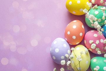 Easter eggs and white flowers on purple background. Space for text. - obrazy, fototapety, plakaty