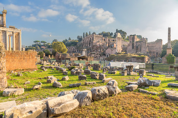 Rome, Italy. Ancient ruins of the Roman Forum and Palatine Hill